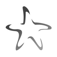 Starfish tattoo design