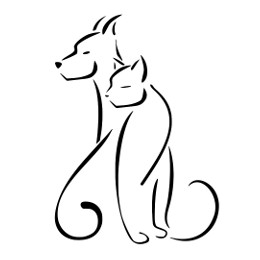 Cat and dog tattoo photo