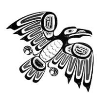 Haida style raven tattoo