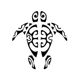 Split turtle tattoo photo