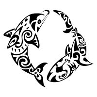 Dolphin and shark tattoo photo