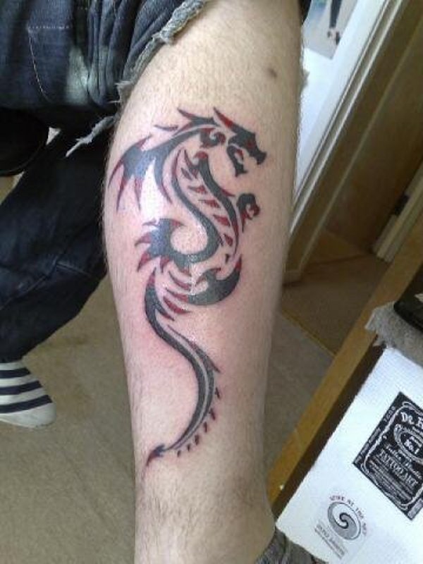 Cory - Dragon tattoo photo