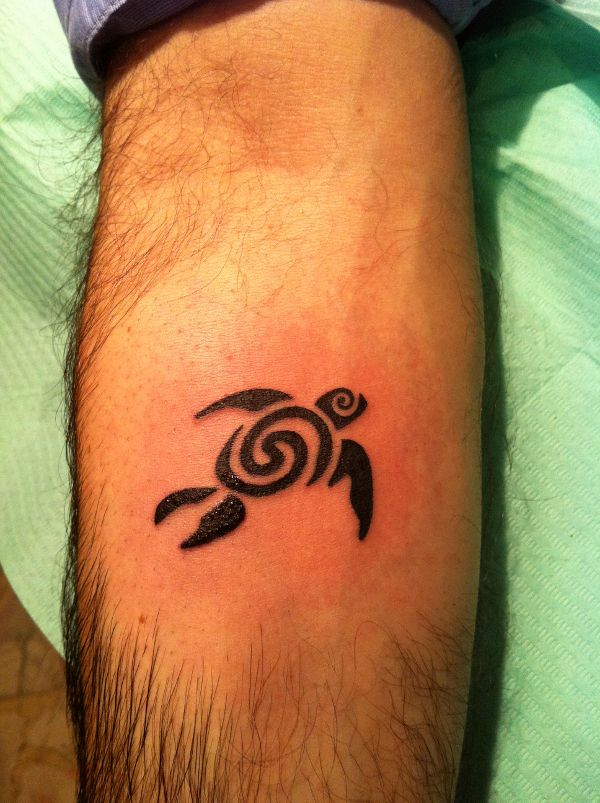 Donato - Flair turtle tattoo photo