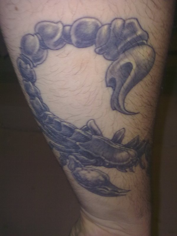 Eros - Scorpion tattoo photo