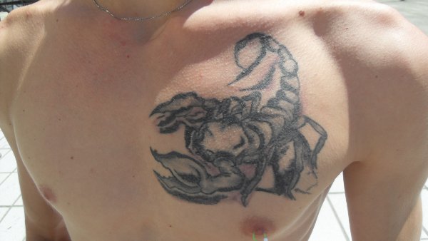 Fastlife - scorpion tattoo photo