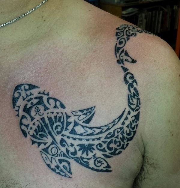 George - Warrior shark tattoo photo