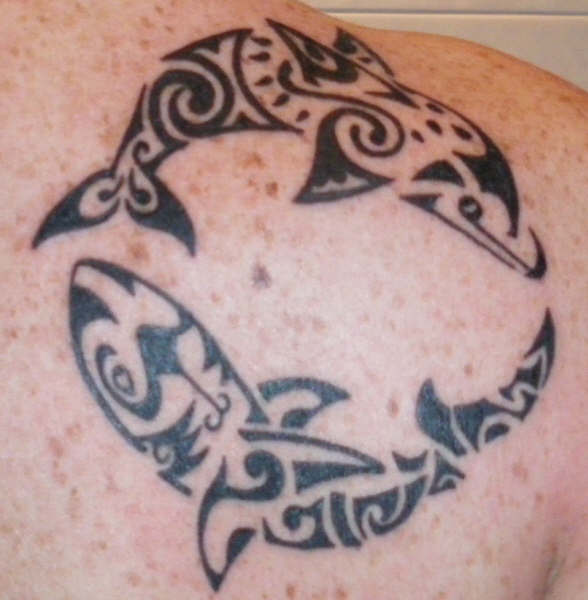 Jex - Dolphin & shark tattoo