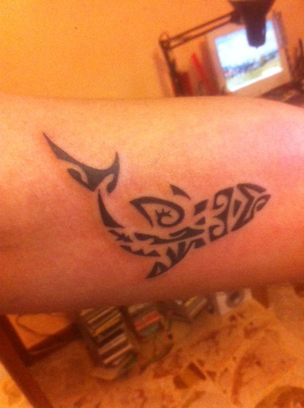 Lorenzo - Shark tattoo photo