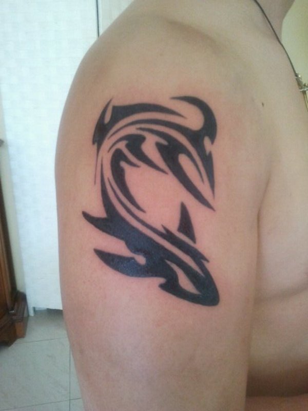 Lory - Shark tattoo photo