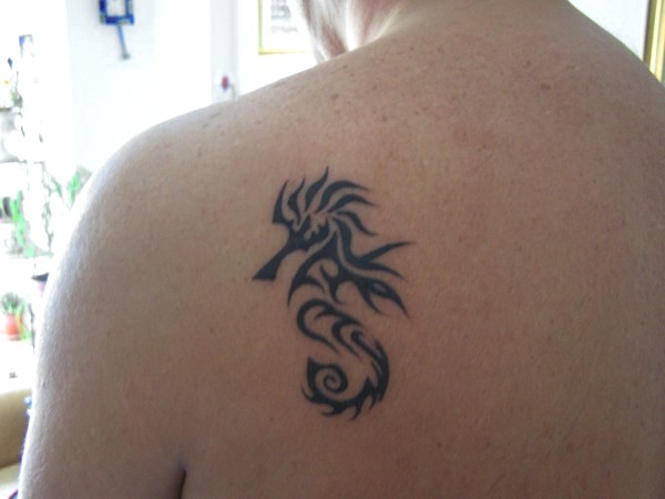 Marco - Seahorse tattoo photo