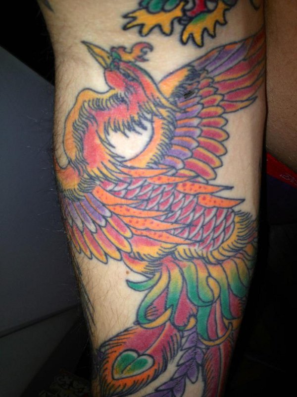 Mattia - Old school phoenix tattoo photo