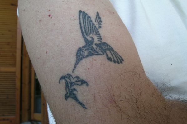 Paolo - Humming bird tattoo