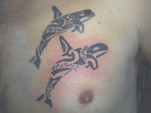 Paul - Killer whales tattoo photo