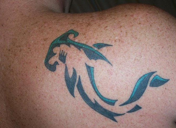 Warren - Shark tattoo photo